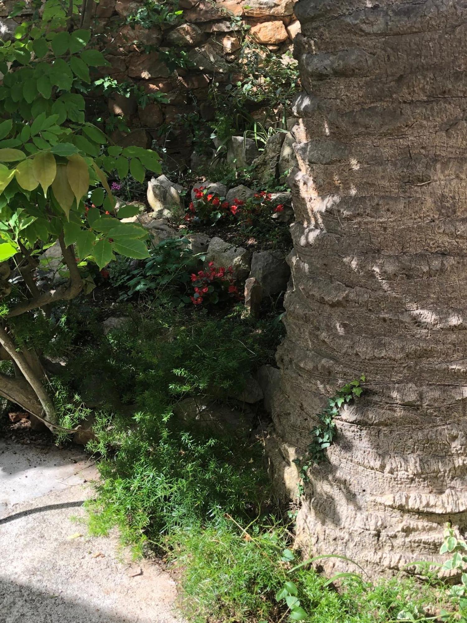 Apartments Veli Losinj Bagian luar foto